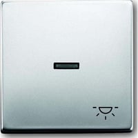 Busch-Jaeger Wippe mit Symbol Licht edelstahl, Retail