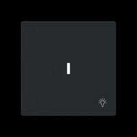 Busch-Jaeger Wippe mit Symbol Licht mit transparenter Kalotte schwarz, Retail