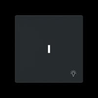 Busch-Jaeger Wippe mit Symbol Licht mit transparenter Kalotte schwarz, Retail