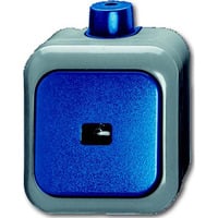 Busch-Jaeger Wipptaster Schließer einpolig Aufputz 2621 WDI Retail