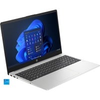 HP 250 G10 (7L6X9ET), Notebook silber, Windows 11 Pro 64-Bit, 39.6 cm (15.6 Zoll), 512 GB SSD