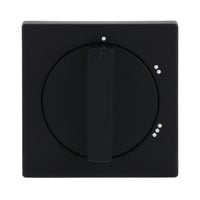 Busch-Jaeger Zentralscheibe für 3 Stufen Drehschalter schwarz, Retail