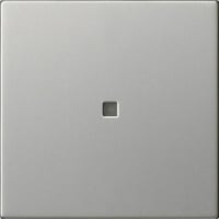 Gira Wippe einfach ohne Bedruckung mit Kontrollfenster edelstahl, Retail