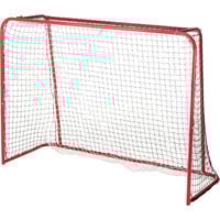 4005998232033 - Floorball Tor Hockeytor