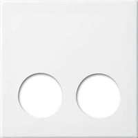 Busch-Jaeger Zentralscheibe 2548-020 D-914, Zentralplatte weiß, Retail