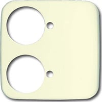 Busch-Jaeger Zentralscheibe, Rahmen weiß, Retail