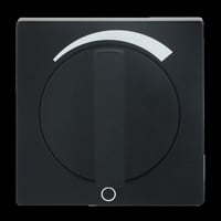 Busch-Jaeger Zentralscheibe mit Drehknopf und Aufdruck, Abdeckung schwarz, Retail