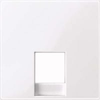 Merten Zentralplatte für RJ12-Telefonsteckdosen-Einsätze weiß, Retail