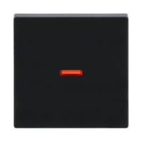 Busch-Jaeger Kontrollwippe einteilige Wippe Aus, Wechselschalter, Kreuzschalter, Taster anthrazit, Retail