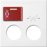 Busch-Jaeger Zentralscheibe alpinws 2548-071 D-914, Rahmen weiß, Retail