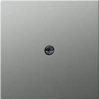 Gira Abdeckung Schutzkontakt Steckdose Edelstahl, Zentralplatte edelstahl, Retail