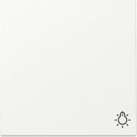 Gira Wippe Symbol Licht weiß, Retail