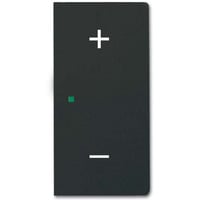 Busch-Jaeger Wippe schwarz, Retail