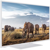 JVC LT-43VF5155W, LED-Fernseher 108 cm (43 Zoll), weiß, FullHD, Triple Tuner, SmartTV