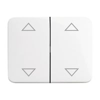 4011395193297 - Wippe alpha für Tasterschalter