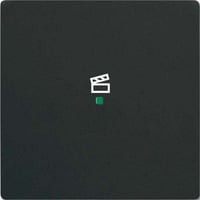 Busch-Jaeger Wippe future linear schwarz, Retail