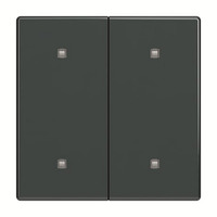 Busch-Jaeger Wippe zwei fach Elektroniktaster anthrazit, Retail