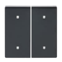 Busch-Jaeger Wippe zwei fach Elektroniktaster anthrazit, Retail