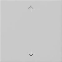 Gira Wippe einfach mit Pfeilsymbolen grau, Retail