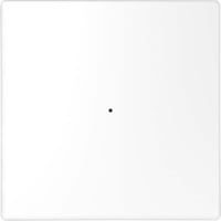 4042811200435 - Wippe für Taster-Modul einteilig mit Kontrollfenster glänzende Oberfläche Kunststoff