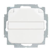 Busch-Jaeger Steckdosen Einsatz 20 EUKNB 214 weiß, Retail