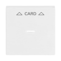 Busch-Jaeger Zentralscheibe für Cardschalter 1792-84 Retail