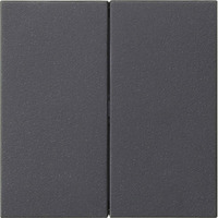 Gira Wippe zwei fach anthrazit, Retail