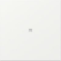 Gira Wippe gerade mit Kontrollfenster weiß, Retail