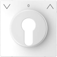 Merten Zentralplatte weiß, Retail