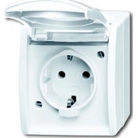 Busch-Jaeger Steckdose mit Klappdeckel CEE 7/3 Typ F 20 EBW-54 weiß, Retail