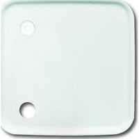 Busch-Jaeger Zentralscheibe Abdeckung für Zugtaster, Zentralplatte weiß, Retail