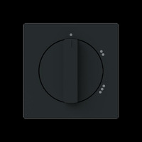 Busch-Jaeger Zentralscheibe mit Drehgriff, Abdeckung schwarz, Retail