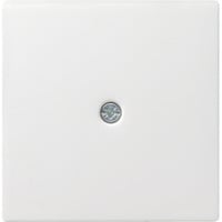 Gira Zentralplatte Schnurableitung weiß (matt), Retail