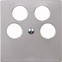 4011281895656 - Zentralplatte