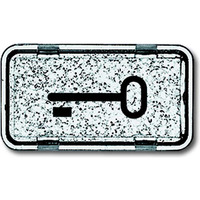 4011395871805 - BJ APWG Symbol Schlüssel 2622TR-101 für Allwetter + ocean