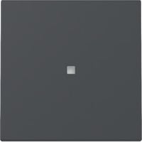 Gira Wippe Kontrollfenster anthrazit, Retail