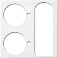 Busch-Jaeger Zentralscheibe alpinws, Rahmen weiß, Retail