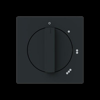 Busch-Jaeger Zentralscheibe mit Aufdruck "0 bis 3", Abdeckung schwarz, Retail