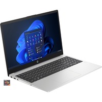 HP 255 G10 (7L6X8ET), Notebook silber, Windows 11 Pro 64-Bit, 39.6 cm (15.6 Zoll), 512 GB SSD