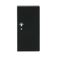 Busch-Jaeger Wippe matt schwarz, Retail