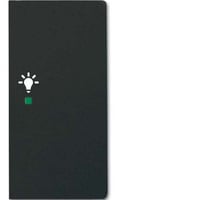 4011395203415 - Busch-jaeger - Wippe sw mt 6231-22-885