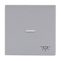 Busch-Jaeger Wippe mit Symbol Licht Retail