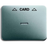 Busch-Jaeger Zentralscheibe für Cardschalter, Abdeckung titan, Retail