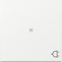 Gira Wippe Kontrollfenster und Symbol Steckdose für schaltbare Steckdosen weiß, Retail