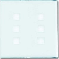 Busch-Jaeger Zentralscheibe mit Beschriftungsfeld, Zentralplatte weiß, Retail