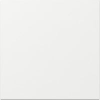 Gira Wippe gerade weiß, Retail