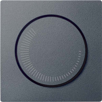 Merten Zentralplatte für Drehzahlsteller anthrazit, Retail