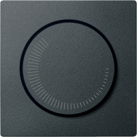 Merten Zentralplatte für Drehzahlsteller anthrazit, Retail