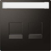 Merten Zentralplatte zweifach für Modular Jack anthrazit, Retail
