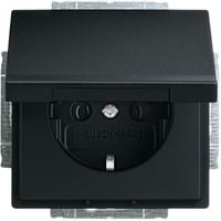 Busch-Jaeger Steckdosen Einsatz 20 EUK-885 schwarz, Retail